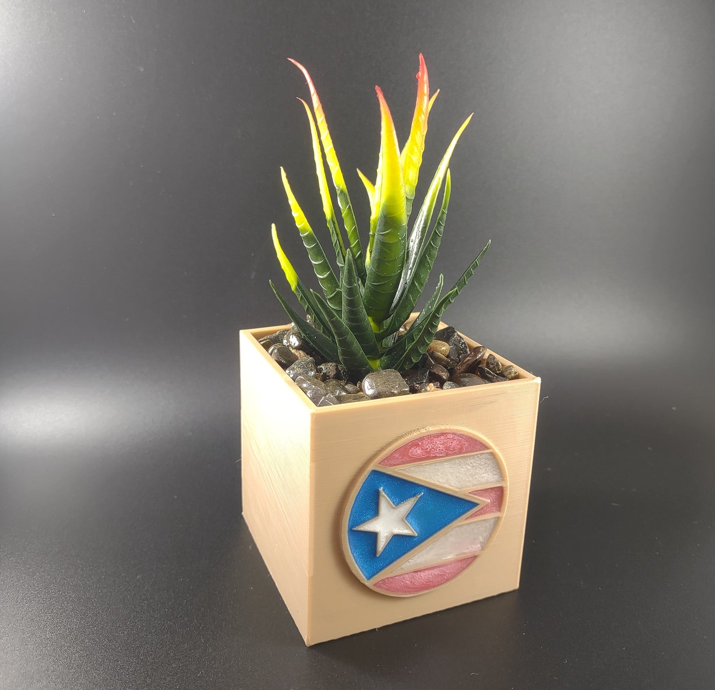 Succulent Plant Pot with Flag