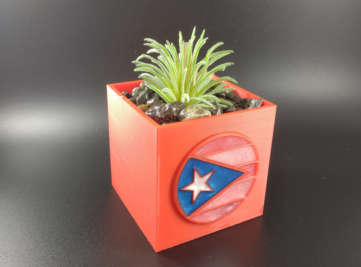 Succulent Plant Pot with Flag