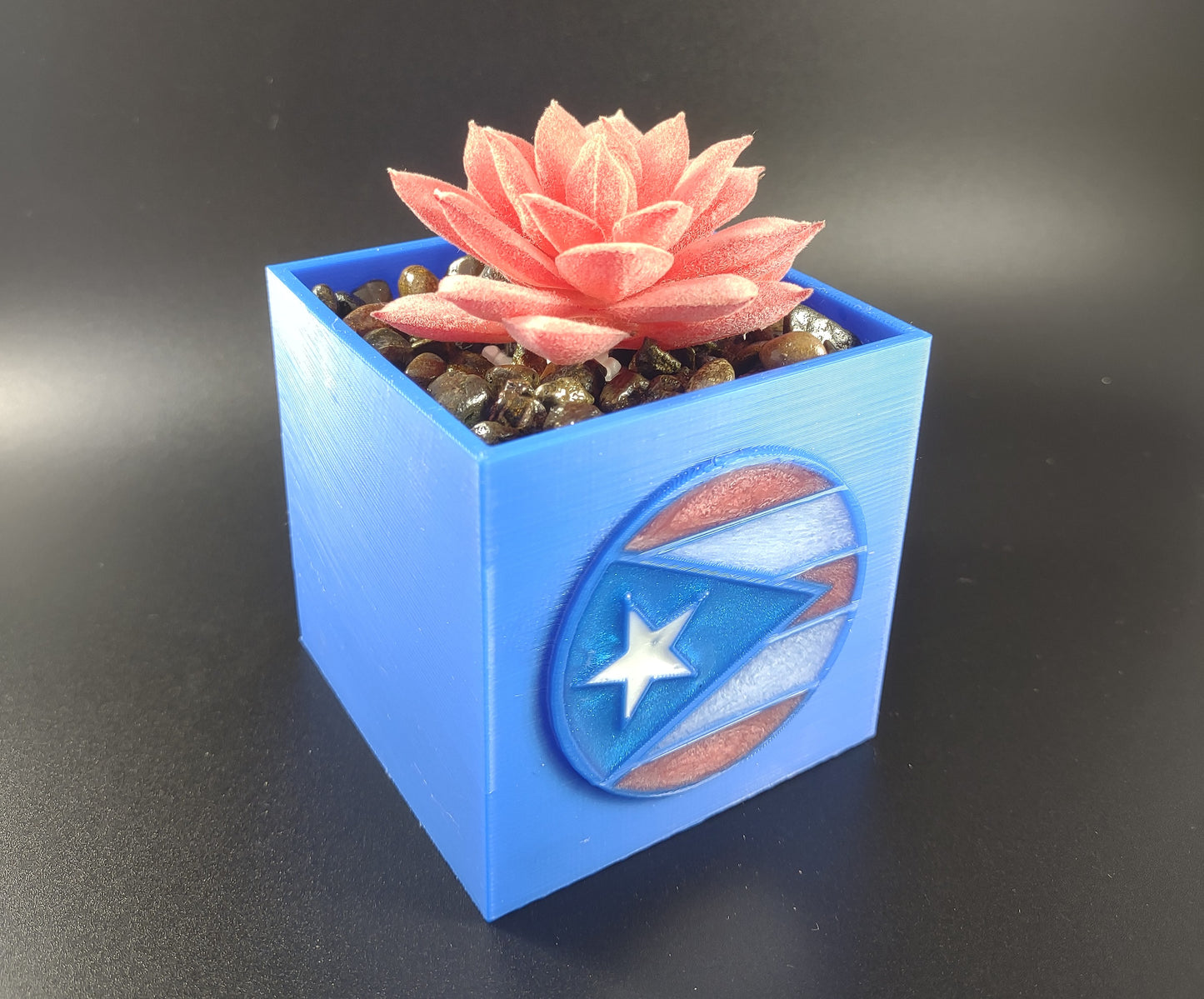 Succulent Plant Pot with Flag